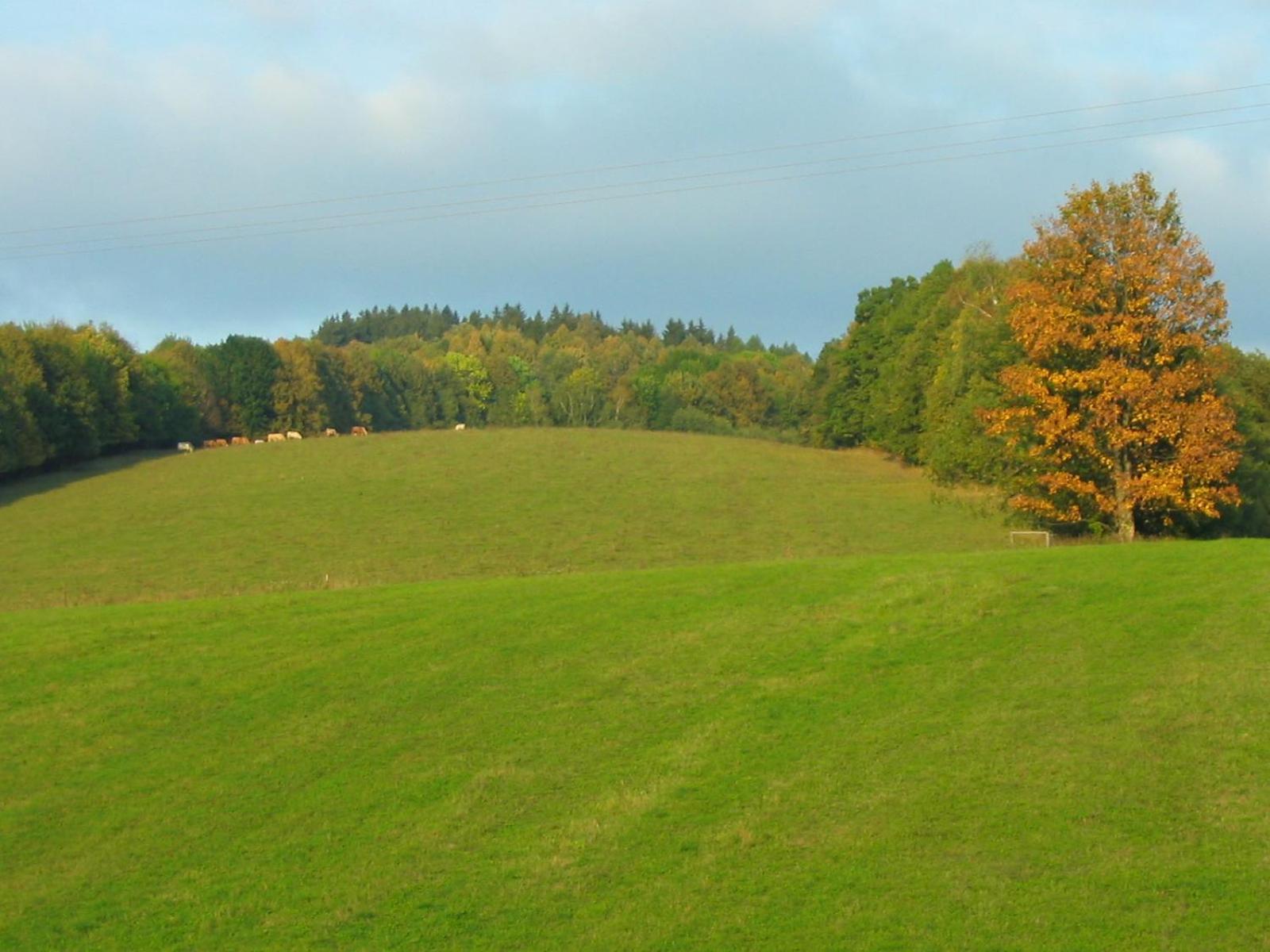 Penzion Svet Sobotín Buitenkant foto